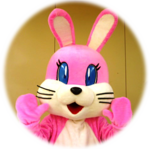 ぴょんちゃん、顔アップ