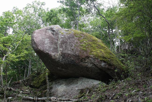 （写真）カメレオン岩