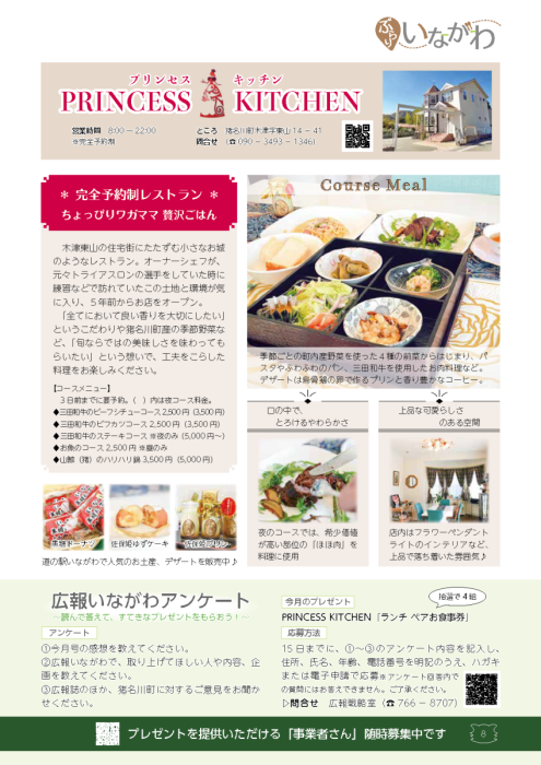 PRINCESS KITCHEN