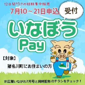 HPtopikkusuinapay