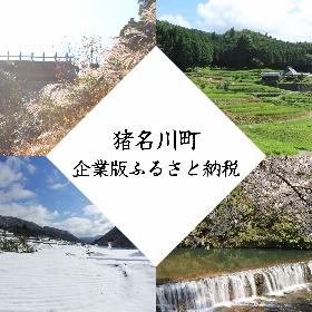 企業版ふるさと納税