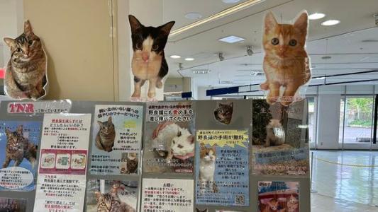 protect_animal