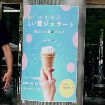 shiitake_gelato