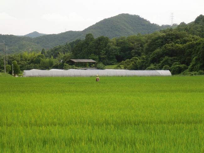 （写真）ごみの分別は、豊かな自然環境の維持・保全に寄与しています