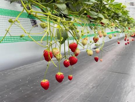 astroberry