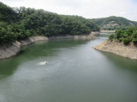 洪水期の貯水率100％のりんどう橋