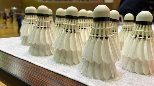 badminton1