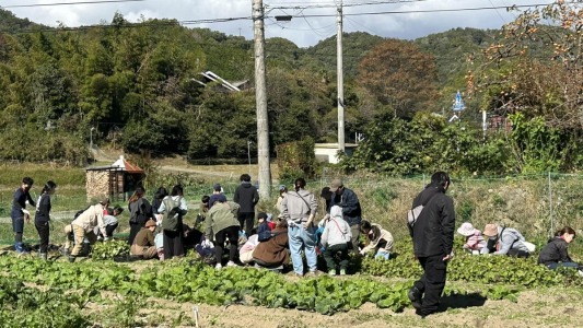 imohori