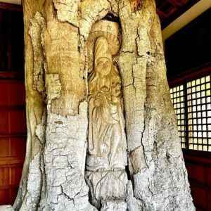 mokujikibutsu