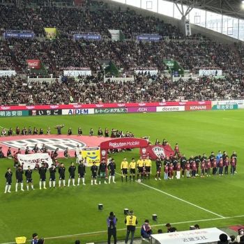 vissel