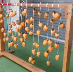 干し柿が完成