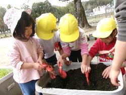 スナップエンドウ