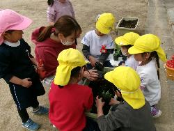 スナップエンドウ