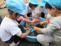 おもちゃ洗い１