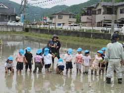 田植え