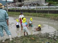 田植え