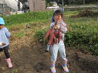 芋ほり