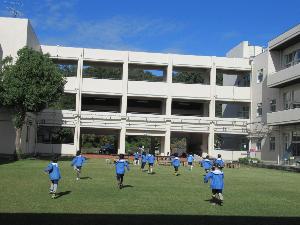 芝生で遊ぶ様子