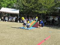 3歳児わんぱくチャレンジ