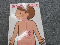 おなかかのこびと