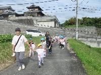 芋畑まで歩く様子