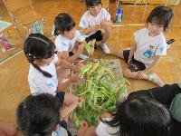 野菜の皮むき