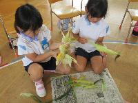 野菜の皮剥き