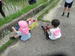 おたまじゃくしすくい