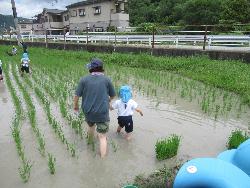 おたまじゃくしすくい