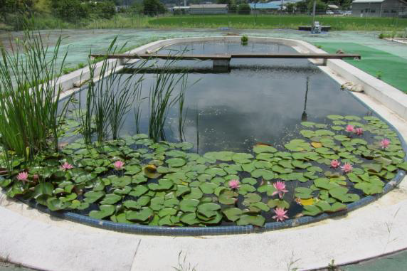 (写真)猪名川町環境交流館4