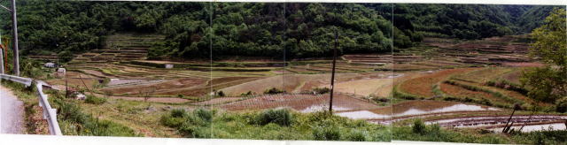 （写真）平成3年（整備前）