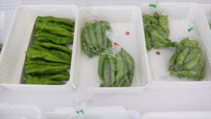 野菜4